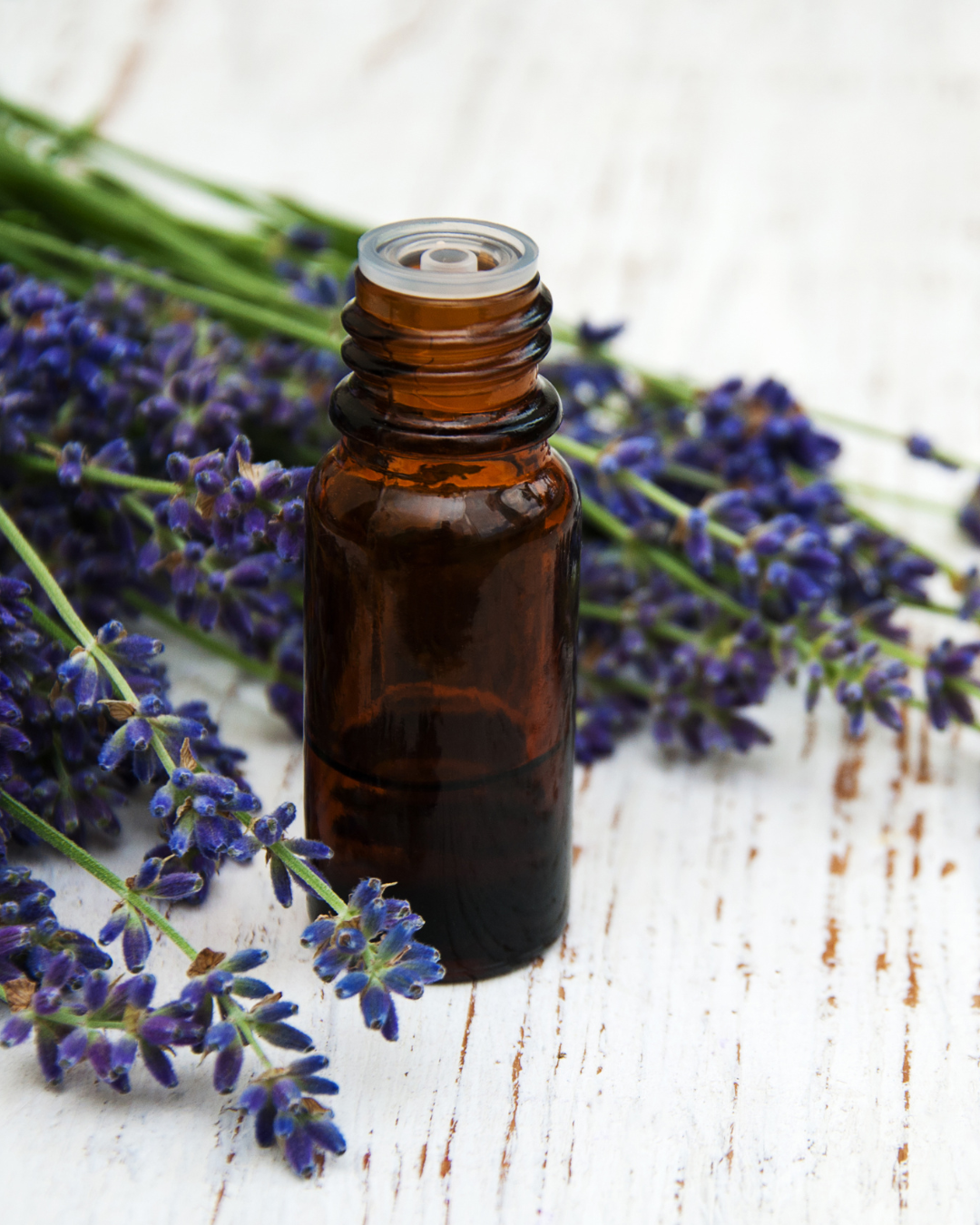 Buy Essential Oils Wholesale