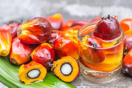 Discover Batana Oil – The Ultimate Hair Growth Oil